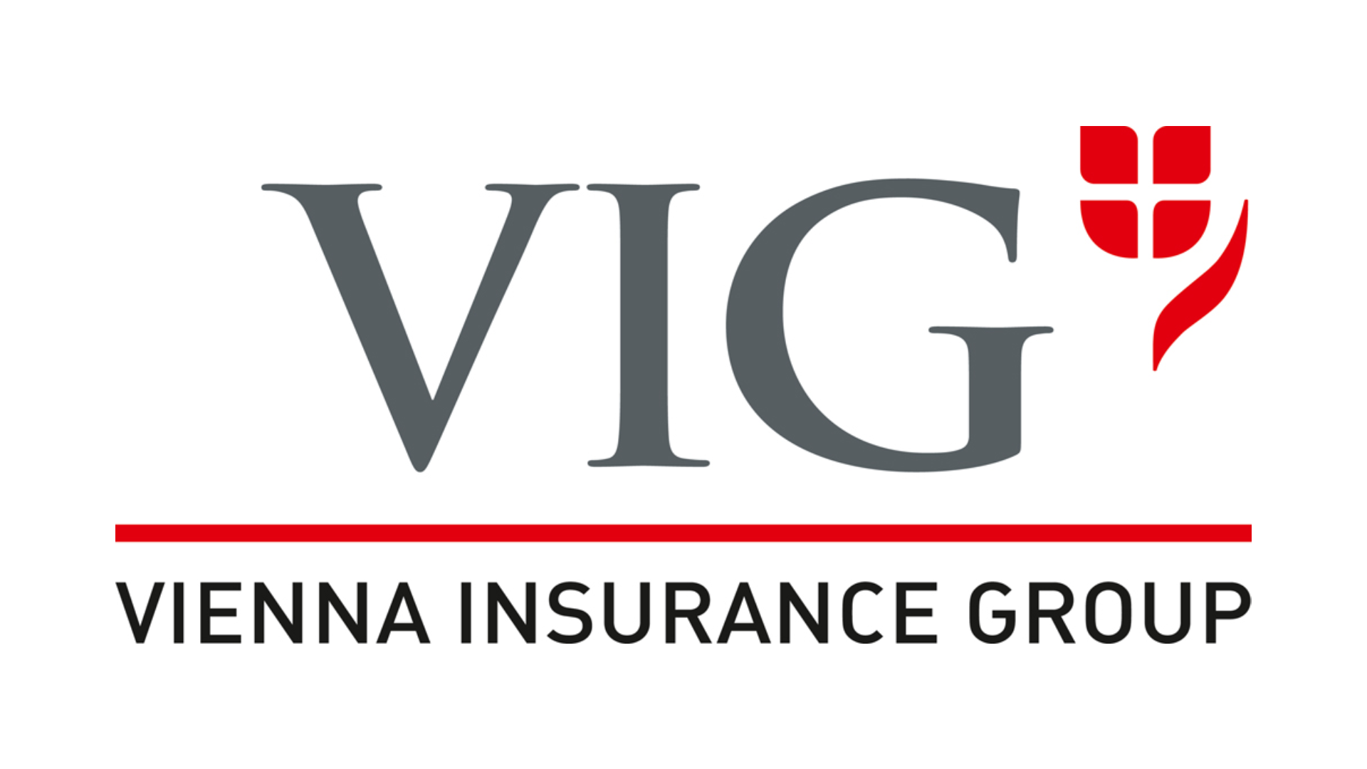 vig-logo